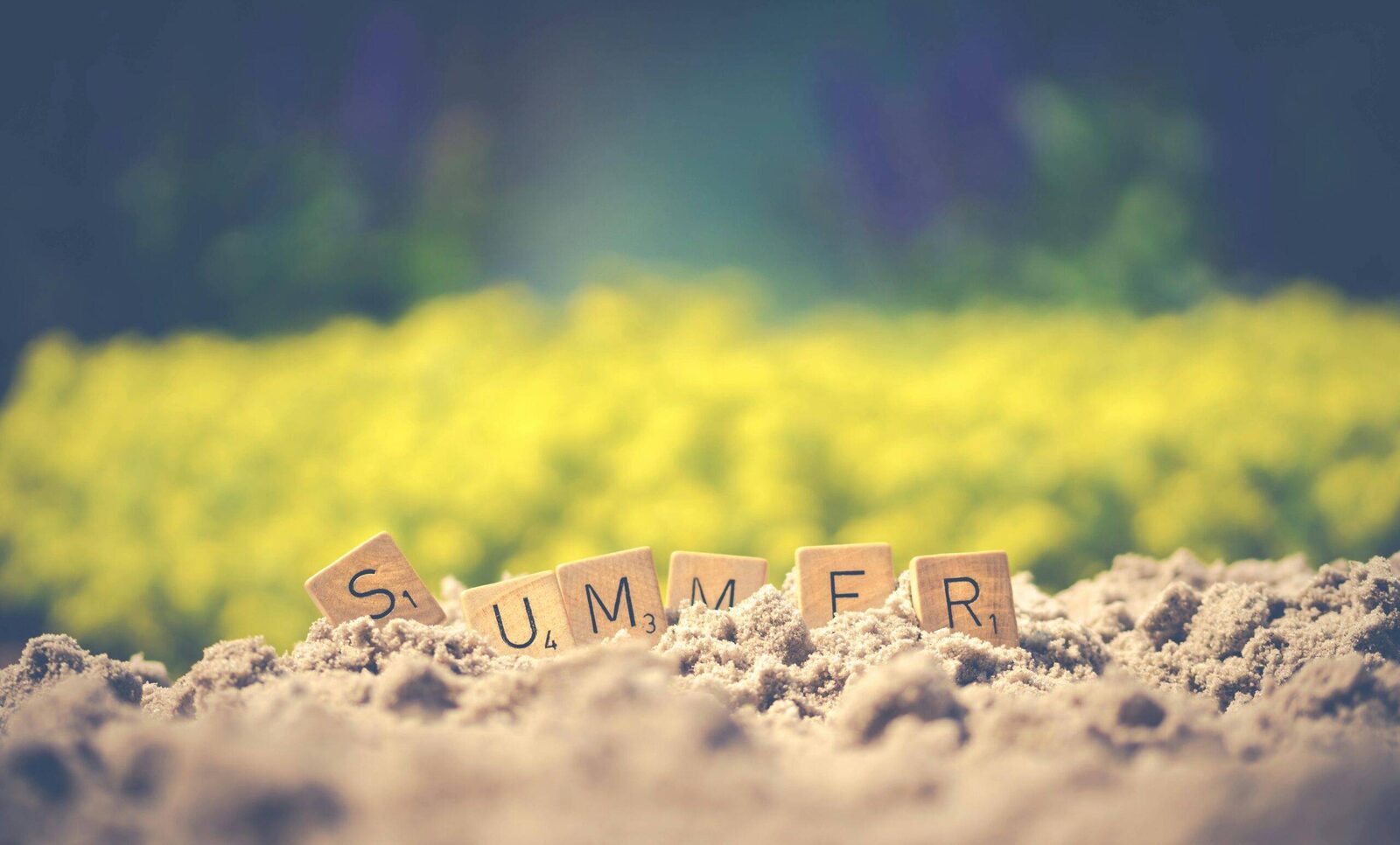 Is Summer a Good Time to Start Tutoring?